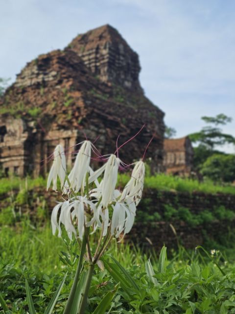 Hoi An: My Son Sanctuary and Sunset River Cruise With BBQ - Booking and Cancellation Information