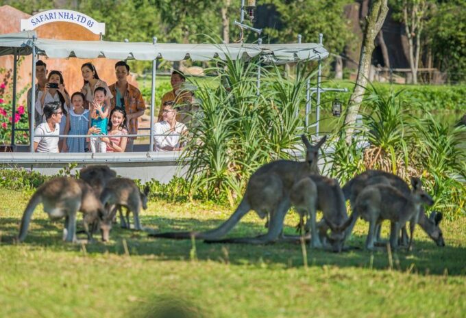 Hoi An: River Safari With Candle-Lit Beach Dinner - Customer Reviews and Ratings
