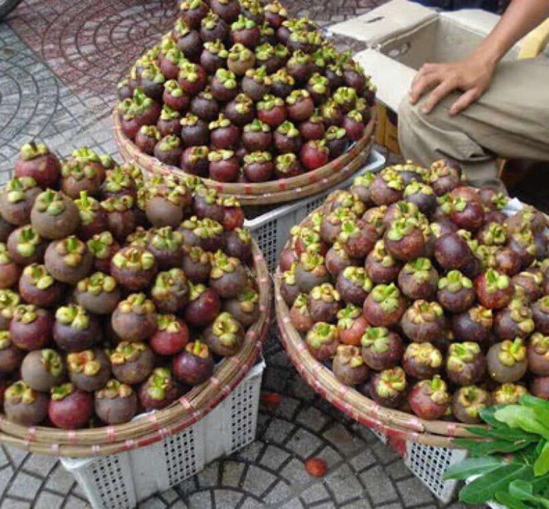 Hoi an Seafood, Tropical Fruits Tasting and Making Lantern. - Tour Logistics and Pricing