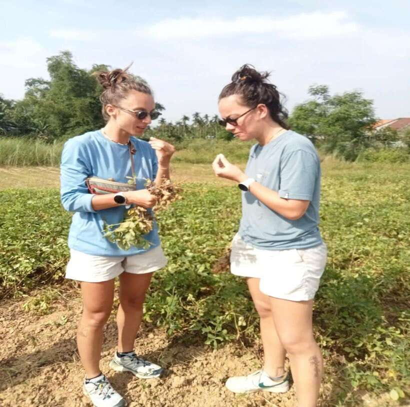 Hoi An to My Son Sanctuary - PRIVATE Scooter via Countryside - Exploring the Scenic Countryside