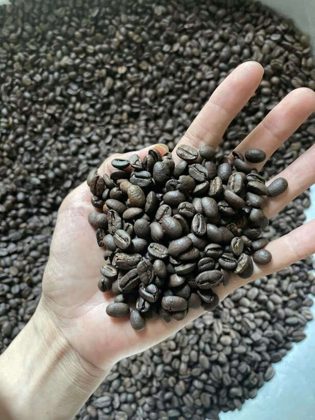 Hoi An: Vietnamese Coffee Making Class With Tasting - Key Points