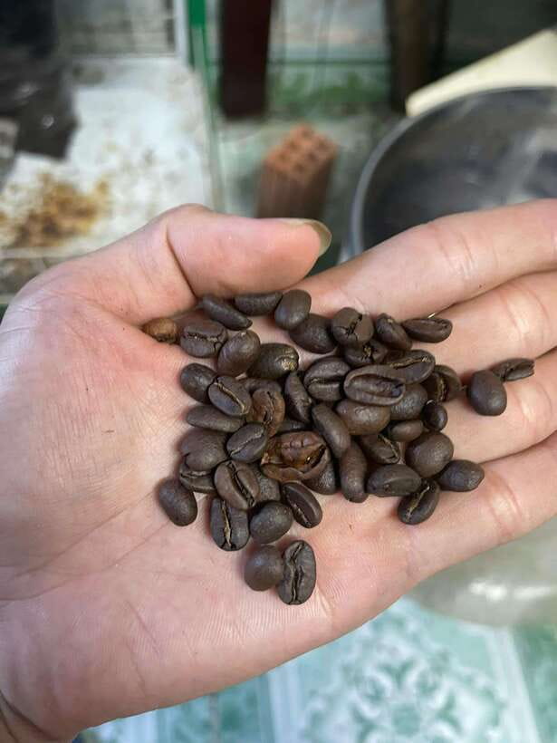 Hoi An: Vietnamese Coffee Making Class With Tasting - Activity Overview