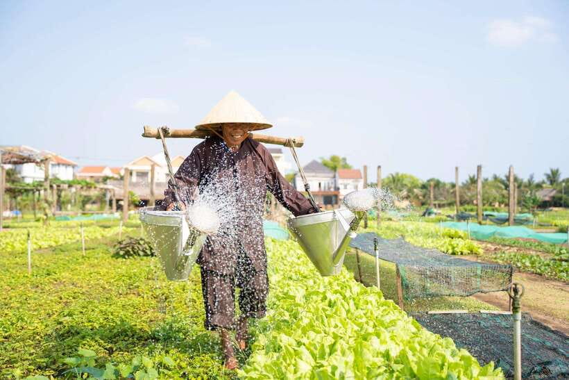 Hoi An: Village Life, Basket Boats, and Sunset Serenity - Sunset Cruise Along the River