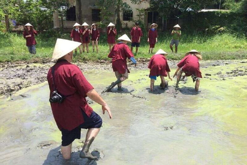 Hoi An Wet Rice Farming Tour-Basket Boat Tour Fishing-Lunch - Activities Included in the Tour