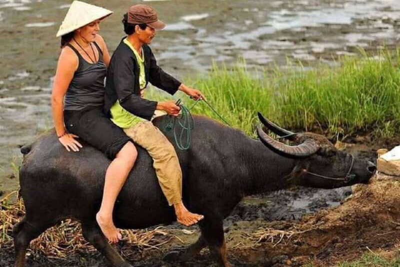 Hoi An Wet Rice Farming Tour-Basket Boat Tour Fishing-Lunch - Itinerary Breakdown