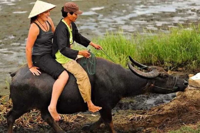 Hoi An Wet Rice Farming Tour-Basket Boat Tour Fishing-Lunch - Tips for an Enjoyable Experience