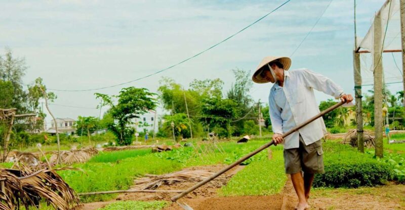 Hoian/Da Nang: Fishing, Basket Riding and Cooking Class - Key Points
