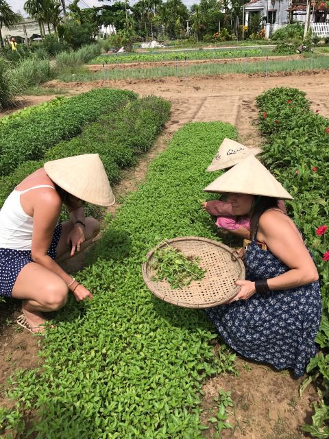 Hoian/Da Nang: Fishing, Basket Riding and Cooking Class - Market Visit and Ingredient Selection
