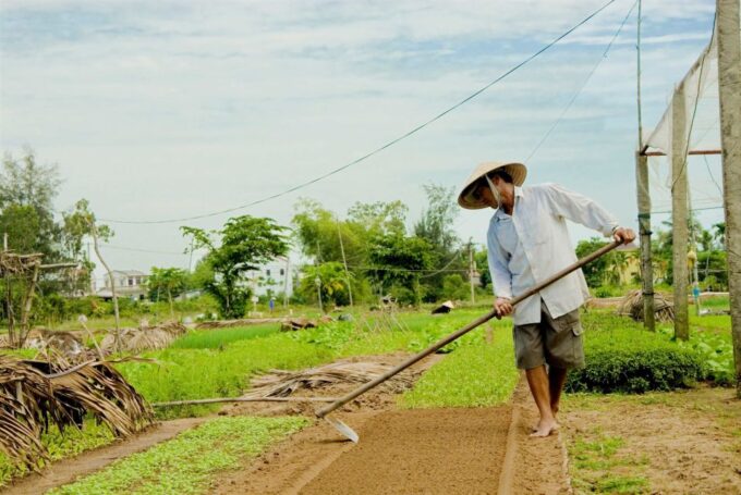 Hoian/Da Nang: Fishing, Basket Riding and Cooking Class - Frequently Asked Questions