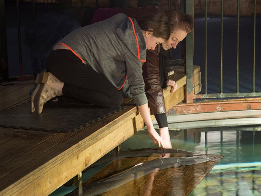 Hokitika: The National Kiwi Centre Tickets - Key Points