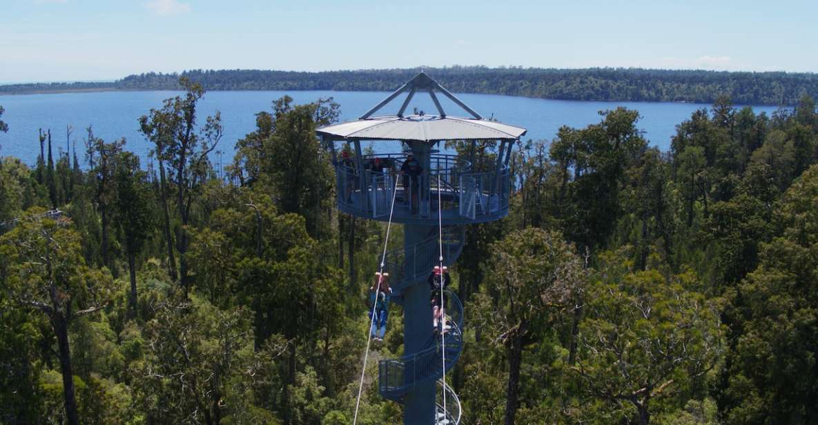 Hokitika: West Coast Tree Top Tower Zip Line and Walk - Key Points