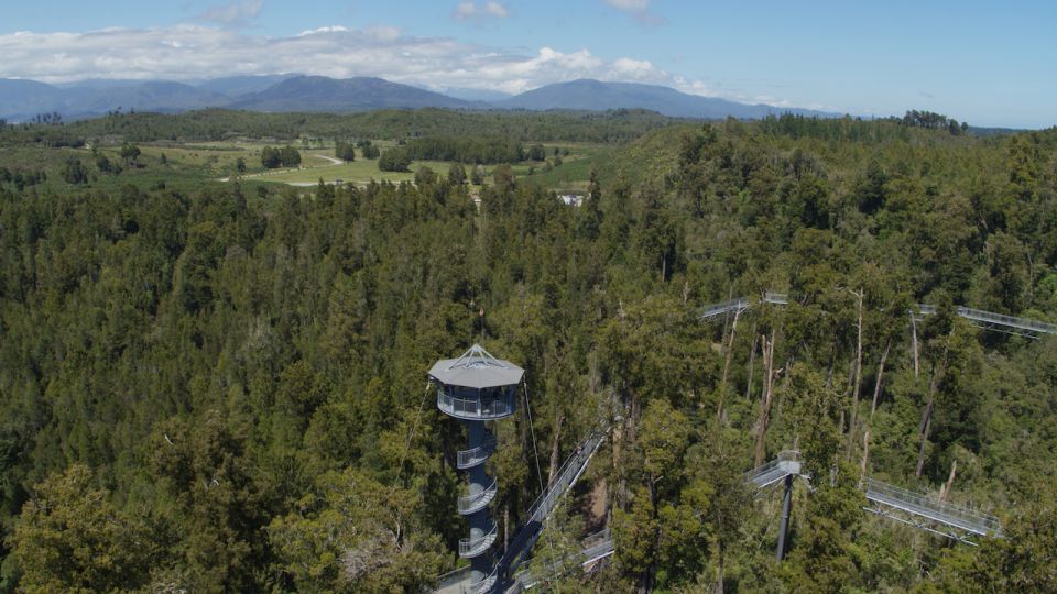 Hokitika: West Coast Tree Top Tower Zip Line and Walk - Activity Description
