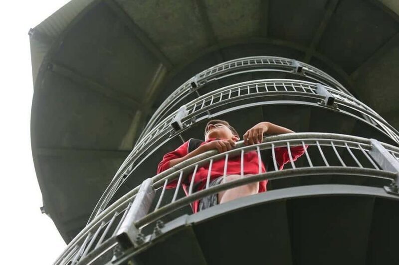 Hokitika: West Coast Treetop Walkway Entrance Ticket - The Practicalities: What to Expect