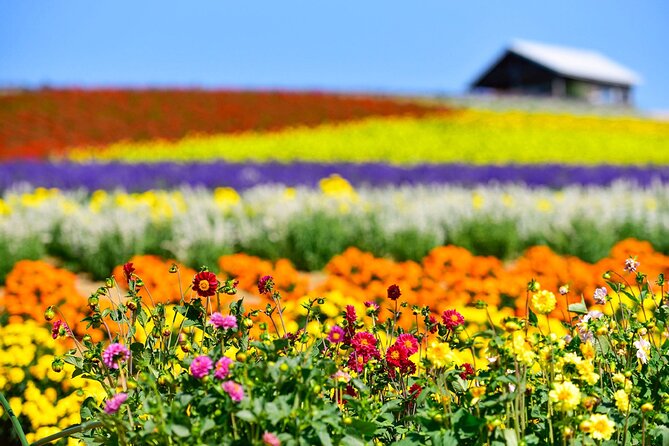 Hokkaido: Asahiyama Zoo, Furano, and Ningle Terrace Full Day Tour - Asahiyama Zoo