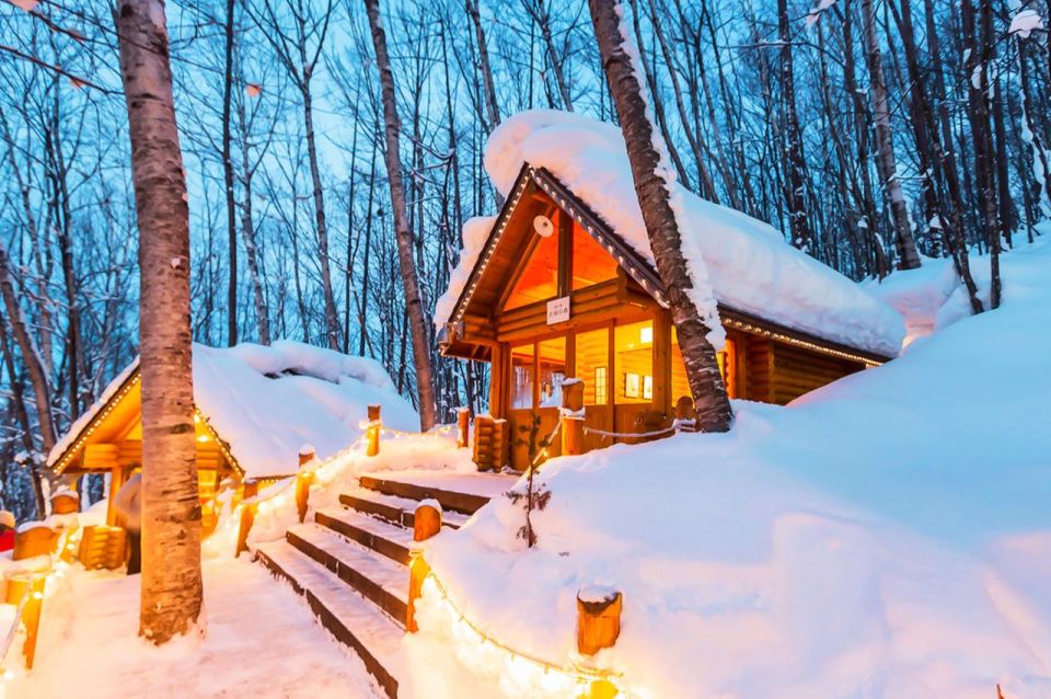 Hokkaido: Asahiyama Zoo, Furano, and Ningle Terrace Tour - Pickup and Drop-off Options