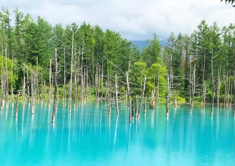 Hokkaido Biei Green Pond and Furano Flower Sea | Day Tour - Inclusions and Exclusions
