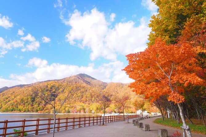 Hokkaido Day Tour From Sapporo: With Bear Park Option - Itinerary and Scheduling Notes