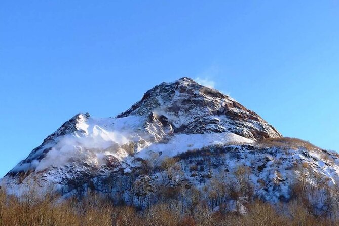 Hokkaido Day Tour From Sapporo: With Bear Park Option - Feedback and Reviews