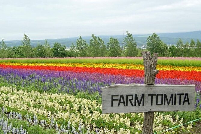 Hokkaido Highlights of Flower Blossom, Asahiyama Zoo & Blue Pond 'Aoi-ike'! - Flower Carpets and Blue Pond