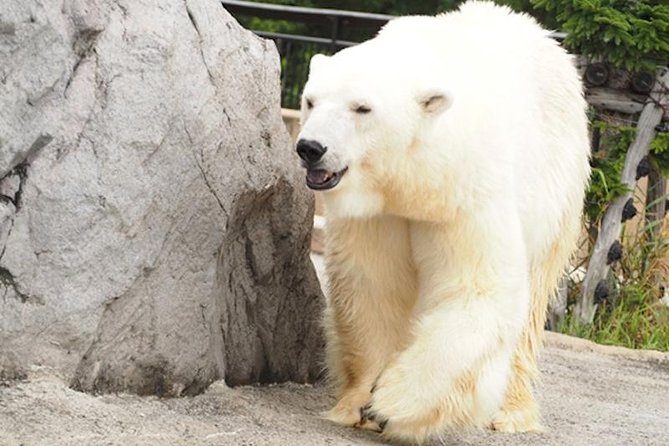 Hokkaido Highlights of Flower Blossom, Asahiyama Zoo & Blue Pond 'Aoi-ike'! - Asahiyama Zoo and Craftspeoples Cottages