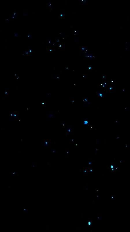 Holbox: Bioluminescence by Kayak and Stargazing. - The Bottom Line: Who Will Appreciate This Tour?