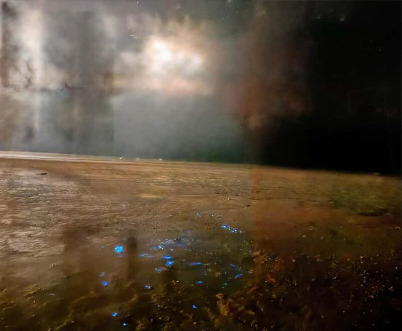 Holbox: Bioluminescence Kayaking and Stargazing - The Sum Up