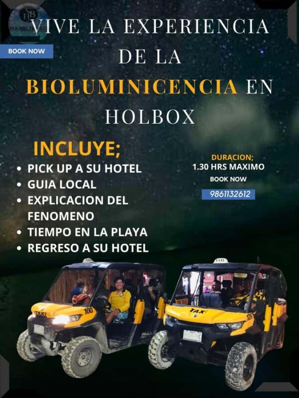 Holbox: Bioluminescence Tour in Canam - Final Verdict