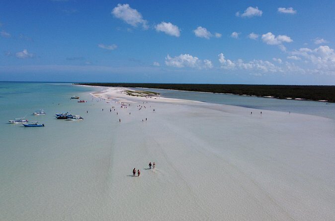 Holbox Boat Tour and Golf Cart - Real Traveler Insights