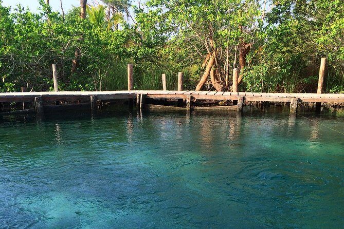 Holbox, Cenote & Two Island! + Punta Mosquito from Cancun - Who Will Find This Tour Most Rewarding?