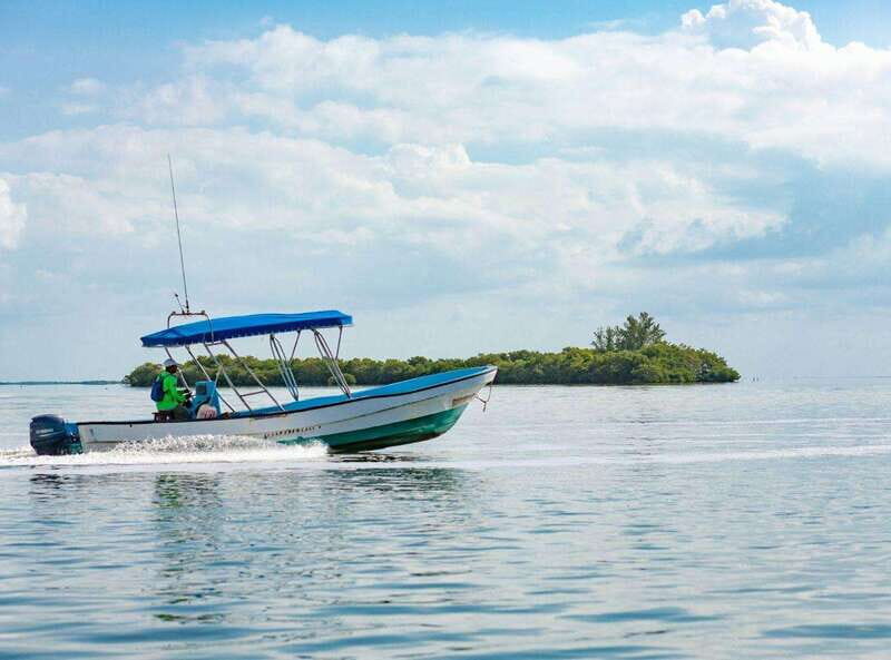 Holbox Discovery: Experience the Authentic Essence, Adventure, Taste and Relaxation - Key Points