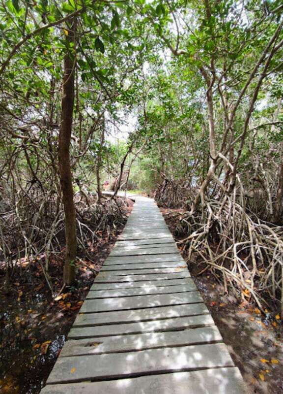 Holbox Discovery: Experience the Authentic Essence, Adventure, Taste and Relaxation - The Sum Up