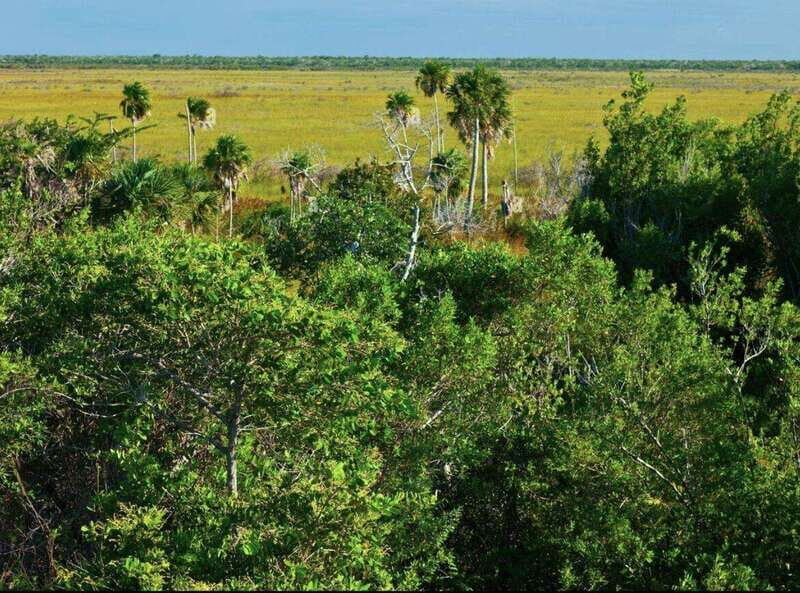 Holbox Discovery: Experience the Authentic Essence, Adventure, Taste and Relaxation - FAQ