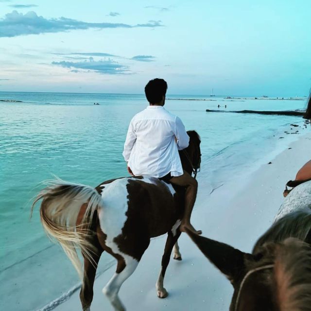 Holbox: Guided Horseback Ride on the Beach - Key Points