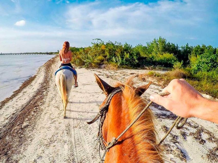 Holbox: Guided Horseback Ride on the Beach - Highlights