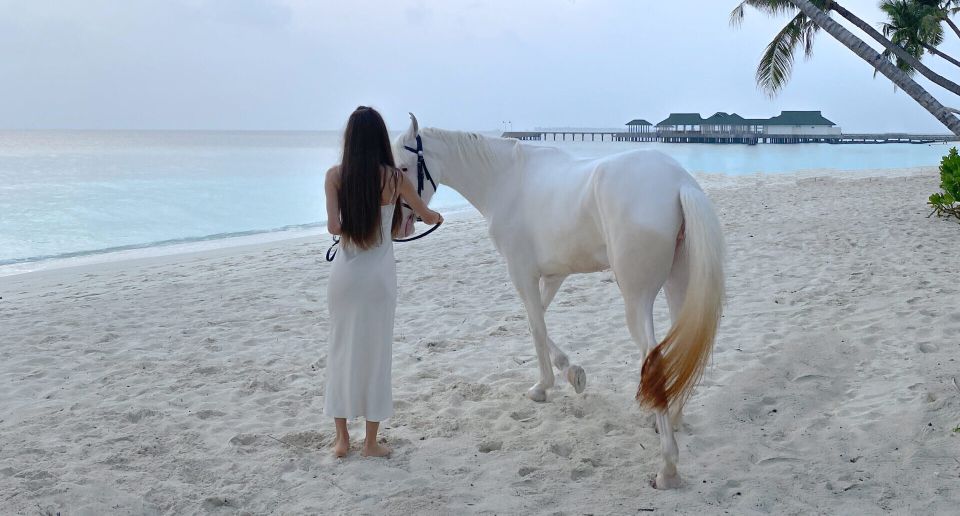 Holbox: Guided Horseback Ride on the Beach - Exclusions
