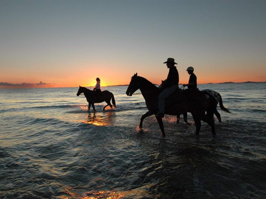Holbox: Guided Horseback Ride on the Beach - Important Information
