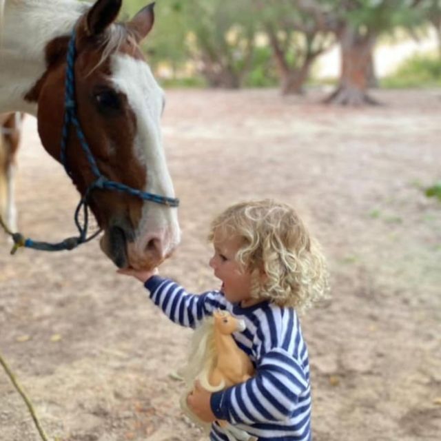 Holbox: Guided Horseback Ride on the Beach - Riding Horses