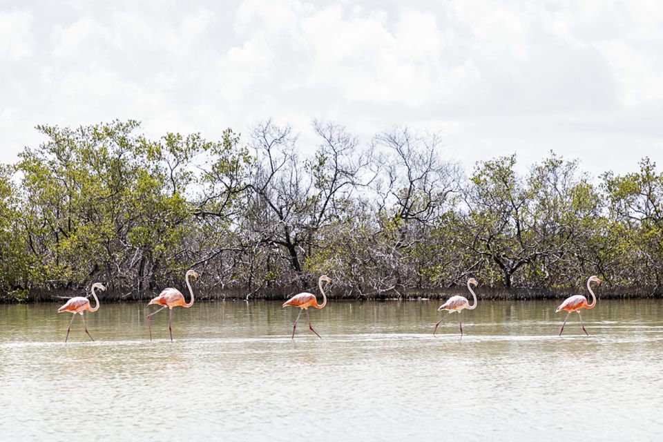 Holbox: Guided Horseback Ride on the Beach - Frequently Asked Questions