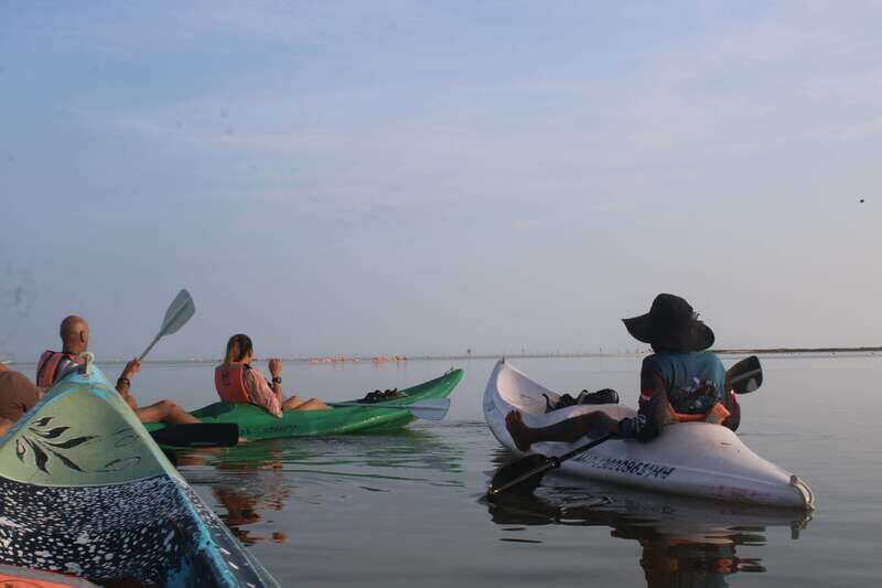 Holbox: Guided Sunrise/Sunset Kayak Tour by Mangrove Reserve - Key Points