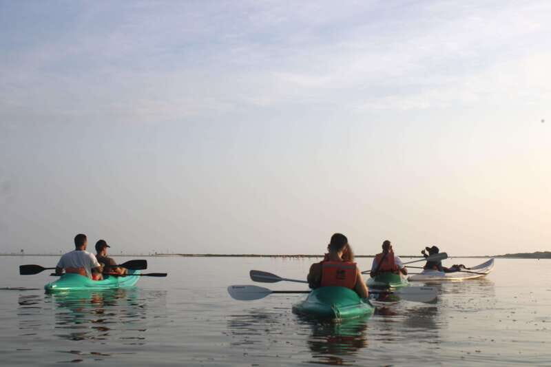 Holbox: Guided Sunrise/Sunset Kayak Tour by Mangrove Reserve - An Introduction to the Tour