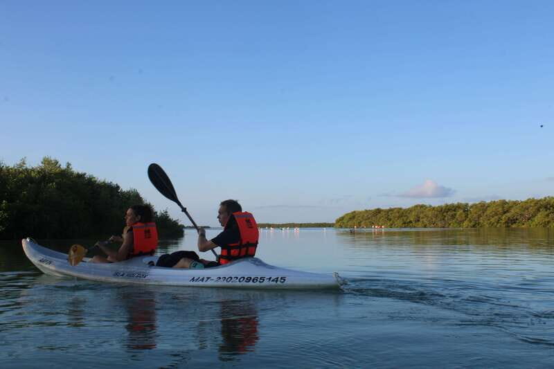 Holbox: Guided Sunrise/Sunset Kayak Tour by Mangrove Reserve - The Itinerary in Detail