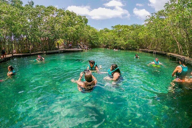 Holbox Island Deluxe Tour, all-day and complete excursion! - What Travelers Can Expect From the Experience