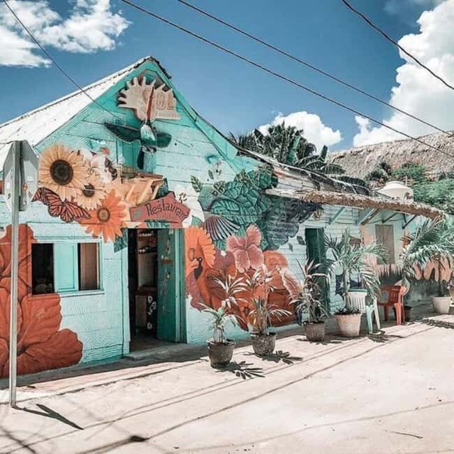 Holbox Island: Feel the Pristine Nature Around You - Who Is This Tour Best For?