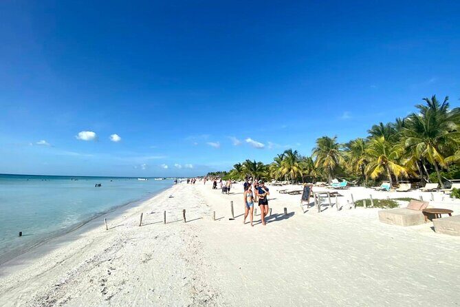 Holbox Island Punta Cocos & Punta Mosquito Tour! Playa Del Carmen - Exploring Holbox’s Downtown