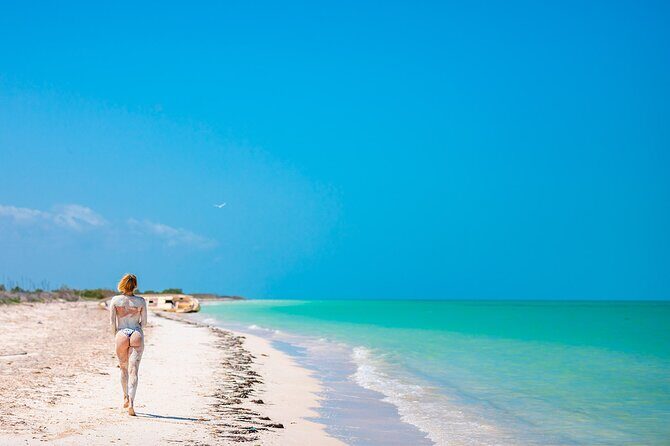 Holbox Island Punta Cocos & Punta Mosquito Tour! Playa Del Carmen - Practical Details: Transportation, Timing, and Tips