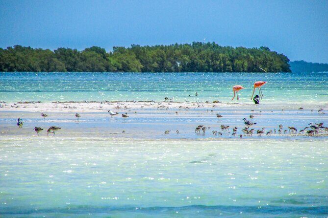 Holbox Island Tour from Cancun - Who Will Love This Tour?