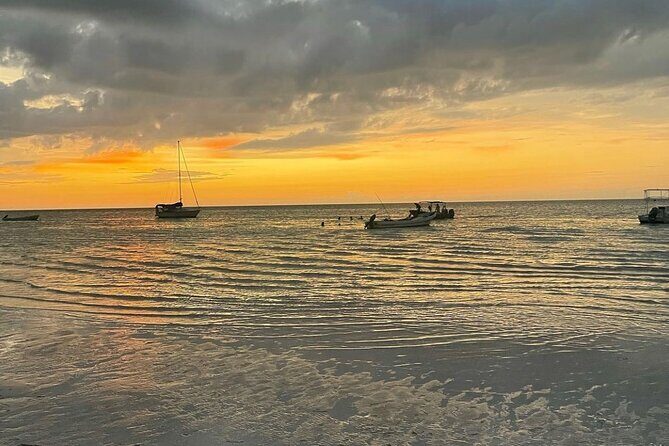 Holbox: Islas Pajaros, Yalahau & Isla de la Pasión with pick up - Summing Up: Is This Tour Right for You?