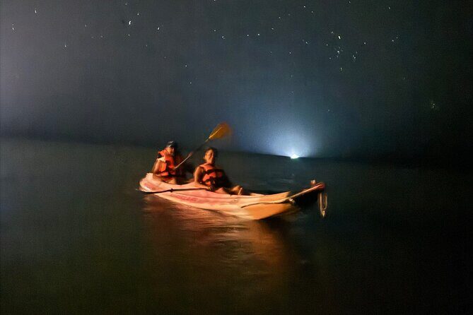 Holbox Kayak Bioluminescence Experience - An In-Depth Look at the Tour