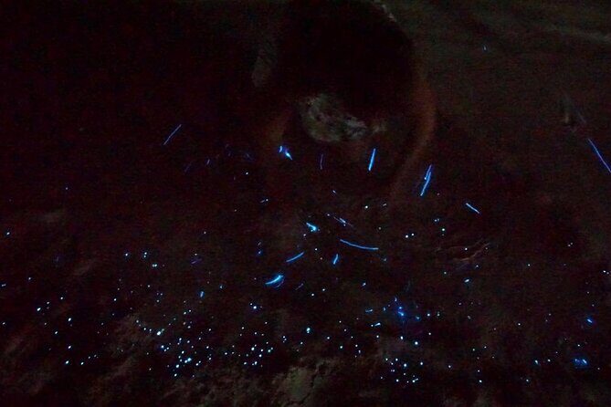 Holbox Kayak Bioluminescence Experience - FAQ