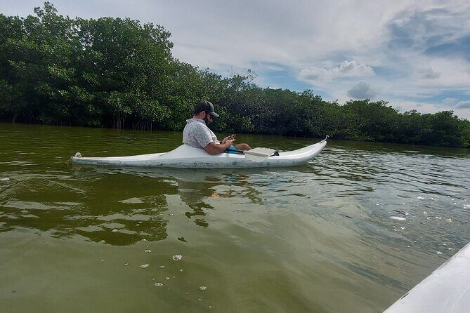 Holbox : Kayaking through Mangroves - Final Thoughts: Is It Worth It?